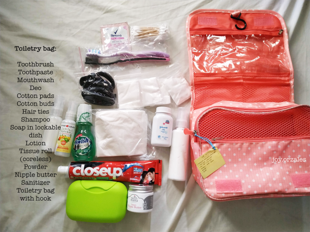 Toiletry bag