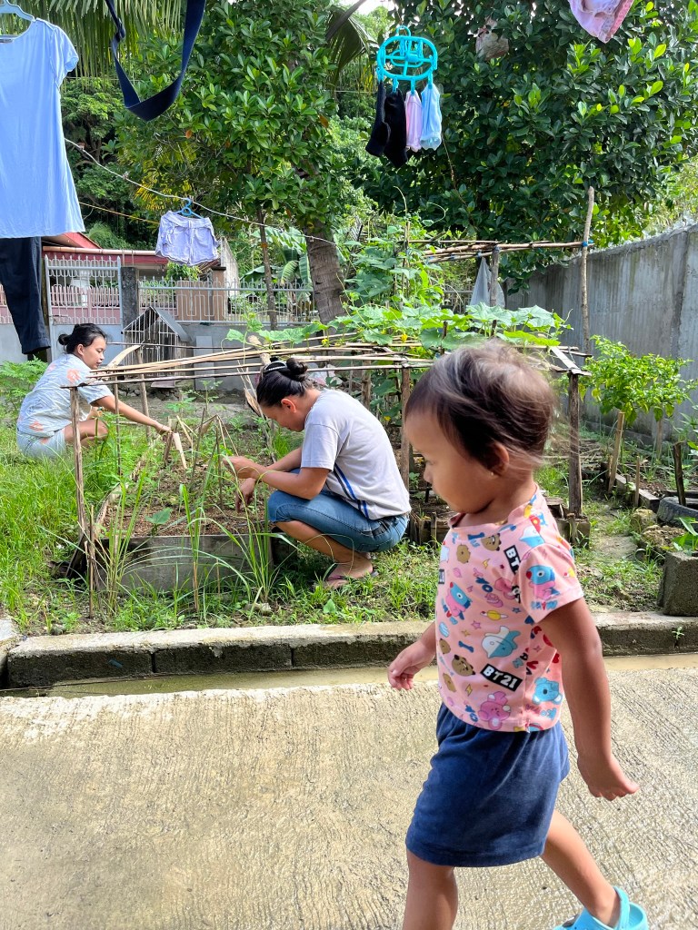 Gardening as a destressing activity